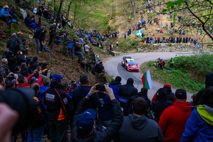Elfyn Evans. Dirko na istrskih cestah spremljajo množice ljubitelje avtomotošporta. | Foto: Guliverimage