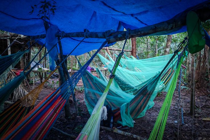"Prenočišče" sredi džungle  | Foto: K. M.