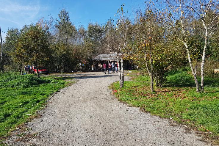 Krvav obračun zaradi pasjega laježa | Foto: Domen Anderle