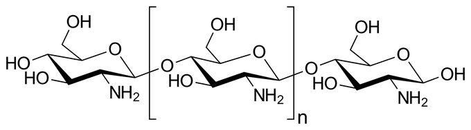 Hitozan (na sliki njegova kemijska struktura) in svila tvorita porozno vlakno, v katerega so raziskovalci dodali polietilenglikol. | Foto: Thomas Hilmes/Wikimedia Commons