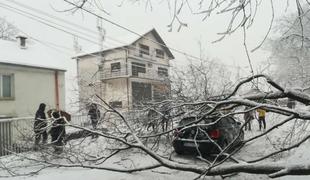 Sneg povzroča preglavice v Srbiji, številni ostali brez elektrike #foto