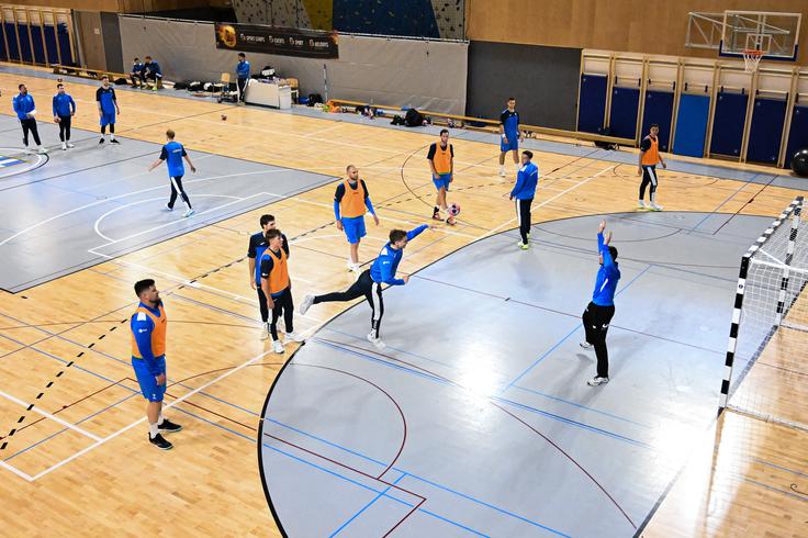 slovenska rokometna reprezentanca | Foto: Aleš Fevžer