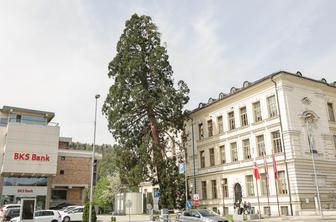 Po razlitju živega srebra v Gimnaziji Kranj zapečatili učilnico