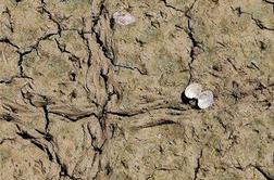 ZDA se soočajo z rekordno sušo