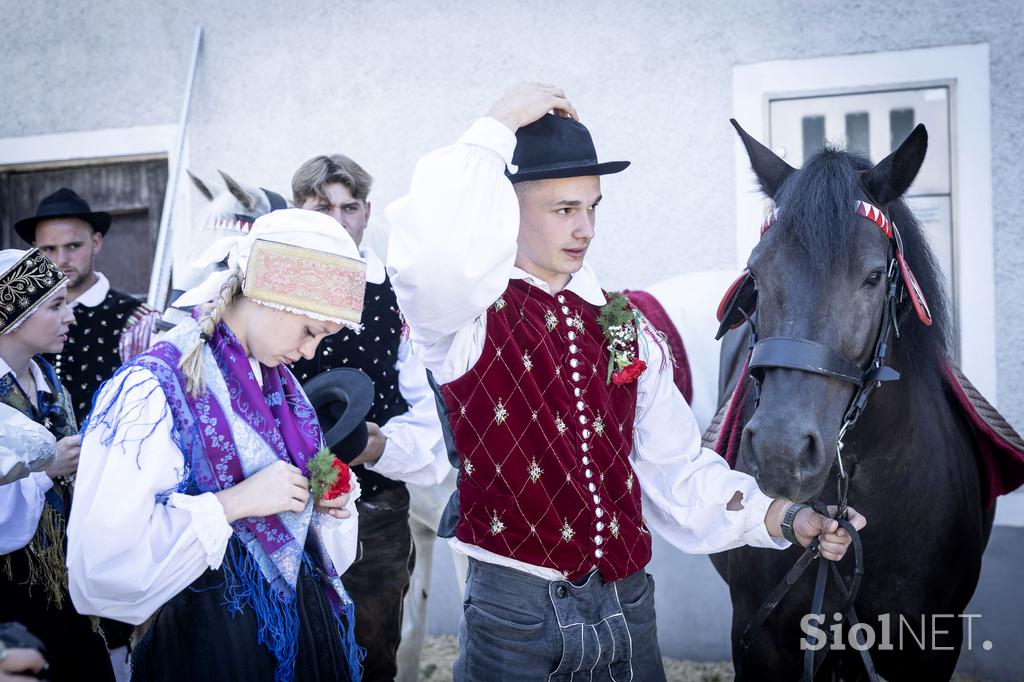 Posavsko štehvanje