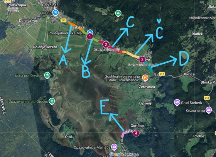Pri Cerkniškem jezeru se je selitev 2026 že začela. Prostovoljna akcija poteka med Cerknico in Grahovim, med Goričicami in Gorenjim Jezerom, ob toplih spomladanskih večerih z začetkom okoli 18.30. Še posebej aktivni so, ko dežuje. Med opremo sodijo naglavna svetilka, vedro ter rokavice brez smukca. Obvezna oprema je odsevni jopič za vidnost ob cesti.  | Foto: pomagajamo-zabicam.si