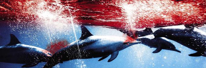 Zaspana morska laguna na japonskem obrežju skriva strašno skrivnost, ki jo je skupina neustrašnih posameznikov odločena razkriti svetu. Pod krinko noči se v tem zalivu japonski ribiči, ki jih podpira milijonska industrija vodnih zabavišč in trgovanja z delfinjim mesom, spuščajo v neverjetno okruten lov. Prejemnik oskarja za najboljši dokumentarec! | Foto: 