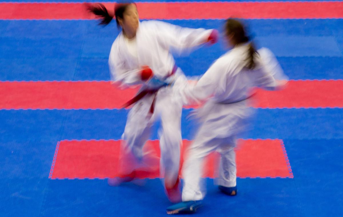 Karate splošna | Foto Vid Ponikvar