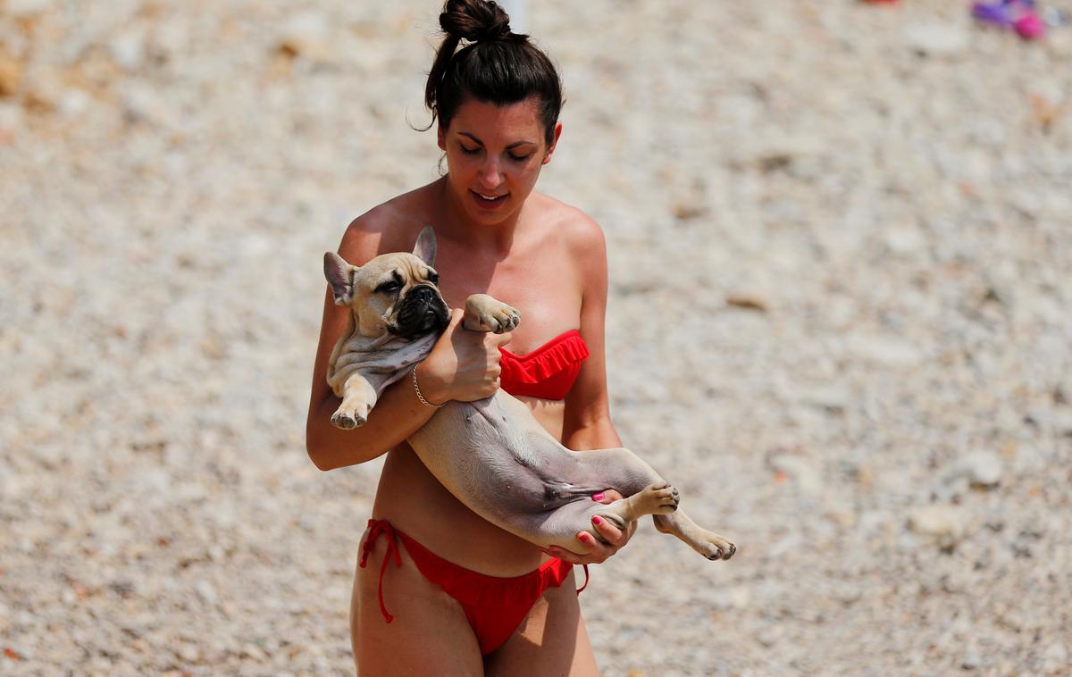 Hrvaška, plaža, vročina, pes | Foto Reuters