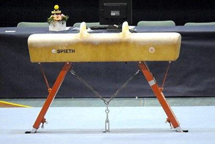 Gimnastična sezona 2009