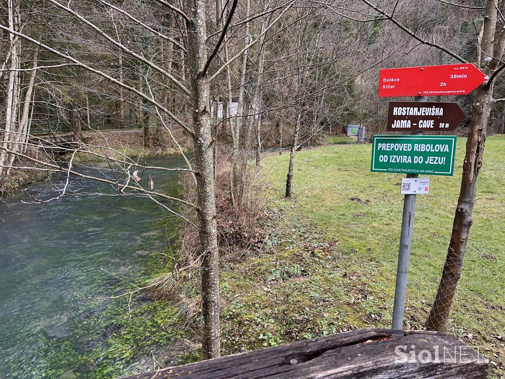 Kostanjevica na Krki, reka Studena