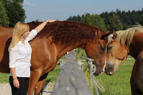 Dekle, ki vam s terapijami s konji pomaga do pravih življenjskih odločitev
