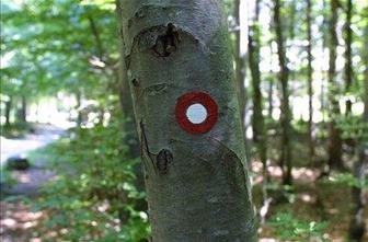 Digitalno enciklopedijo DEDI predstavili v Celju