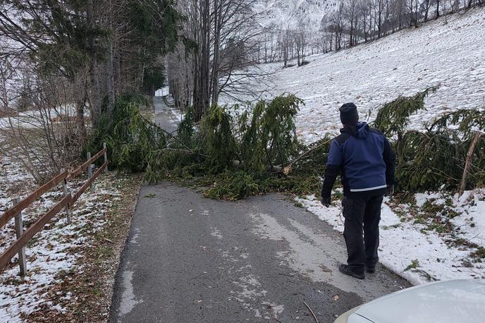 vetrolom, gozd, škoda | Foto CZ Kobarid