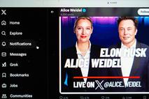 Elon Musk in Alice Weidel