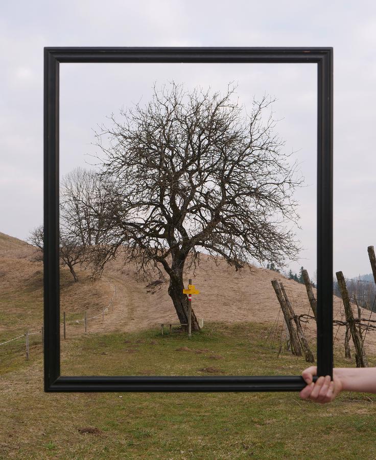 Esejistična pot, na kateri mejo prestopimo osemkrat, predstavlja refleksijo meje, politične realnosti, ki se je skozi vso njeno zgodovino zarezala v številna življenja. | Foto: Robin Klengel