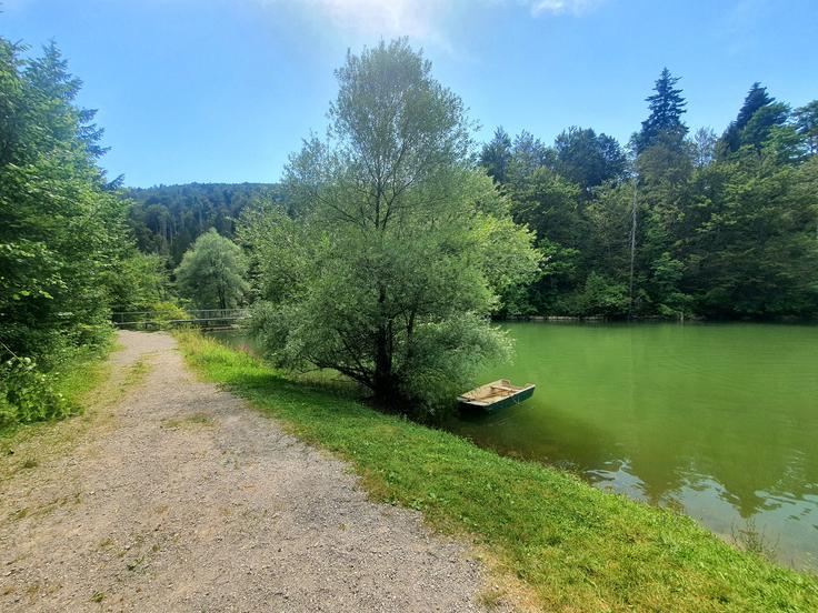 Včeraj je morje pri Kopru doseglo najvišjo temperaturo 25,6 stopinje Celzija. Blejsko jezero 25,7 in Bohinjsko jezero 23,8 stopinje Celzija. Na fotografiji je Reško jezero pri Kočevski Reki, ki je tako kot vse tri naštete vode priljubljeno med kopalci. | Foto: David Florjančič