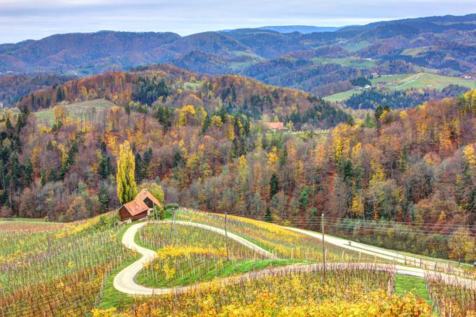 Štajersko srce med vinogradi je tik ob avstrijski meji. | Foto: Thinkstock