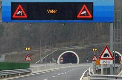 Ajdovci smo vajeni, v Novi Gorici pa ni več celega drevesa