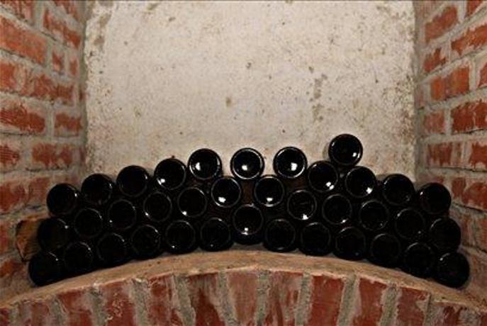 Tudi štajerski vinogradniki začenjajo s trgatvami