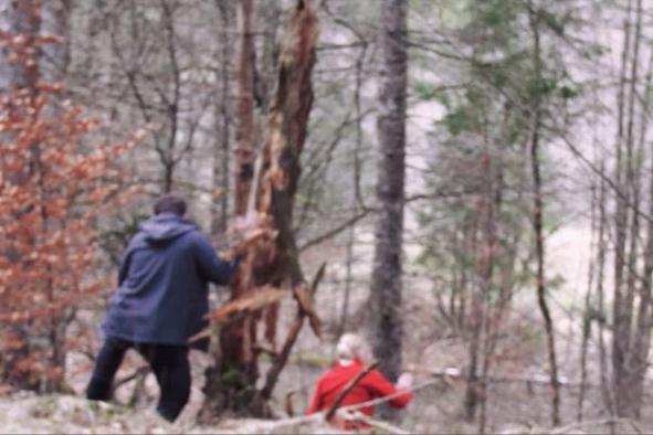 V gozdu sta imela izjemno srečo v nesreči #video