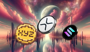 Razmerje imetnikov XRP se je zmanjšalo v prvi polovici leta 2025