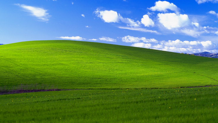 Fotografijo z imenom Bliss neposredno pozna vsaj milijarda ljudi - Microsoft je prodal toliko izvodov operacijskega sistema Windows XP -, posredno pa še precej več, ugibajo pri tehnološkem velikanu. Po mnenju mnogih tehnoloških strokovnjakov gre za najbolj prepoznavno fotografijo vseh časov.  | Foto: Microsoft