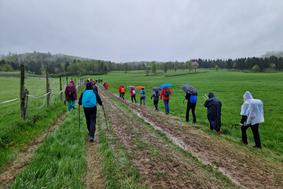 Ekstremno: hodili 64 km po blatnem Kočevskem Rogu #video