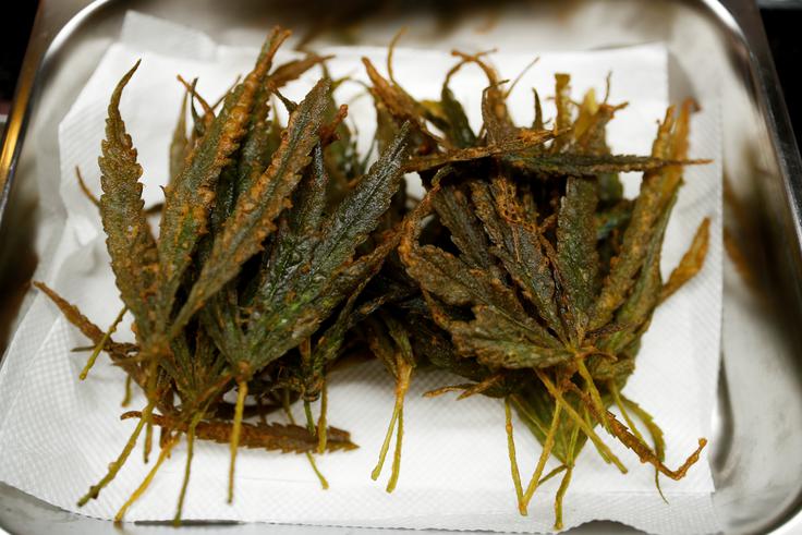 marihuana | Foto: Reuters