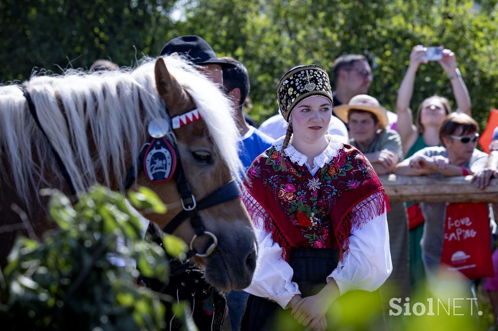 Posavsko štehvanje