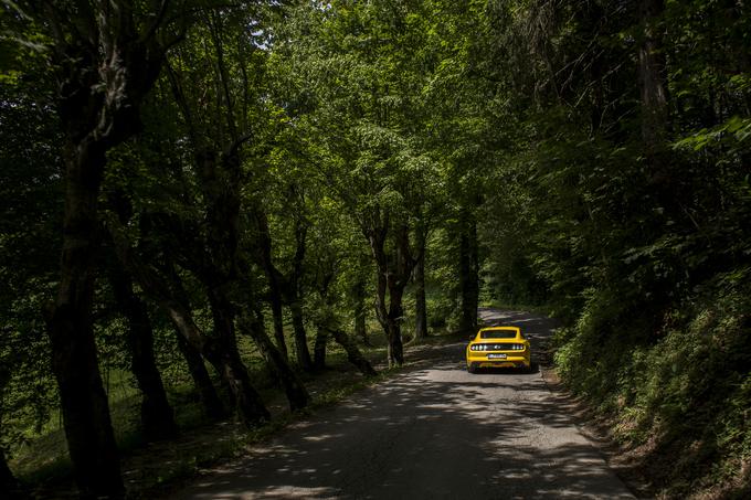 Tudi nekaj zares hitrih zaporednih zavojev, tik za nekdanjo graščino, kjer se je pisati naučil eden največjih slovenskih pisateljev, Janko Kersnik, ni bilo dovolj, da ne bi le hip za tem, ko sem umiril tempo vožnje, takoj pohvalil razgled in krasoto Črnega Grabna, ki se je v nekem trenutku odprl pod njim. | Foto: 