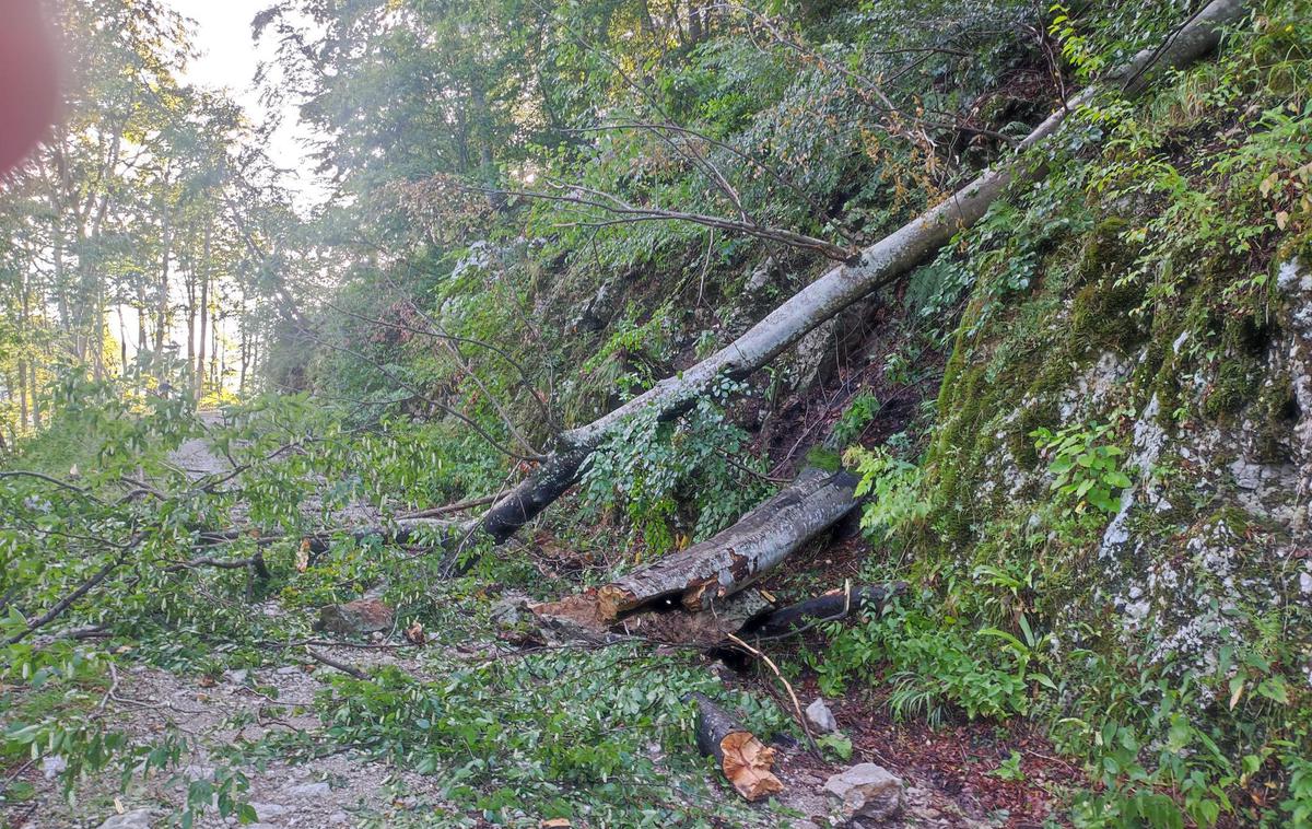 neurje, nevihta, veter, Slovenija | Na območju Maribora je bilo v zraku tudi protitočno letalo.  | Foto Slovenski državni gozdovi/Facebook