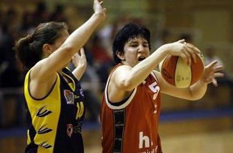 Stotica Ježice v Konjicah
