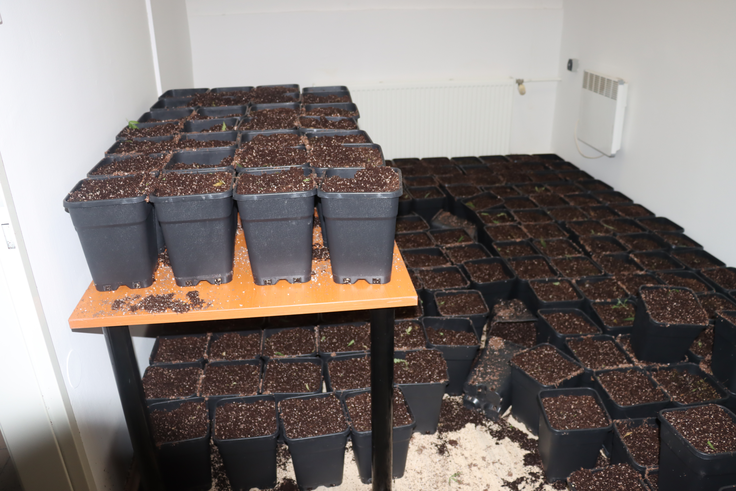 droge, policija, Trzin | Foto: policija