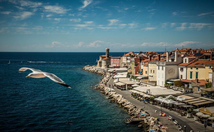 Piran | Foto: Vid Ponikvar