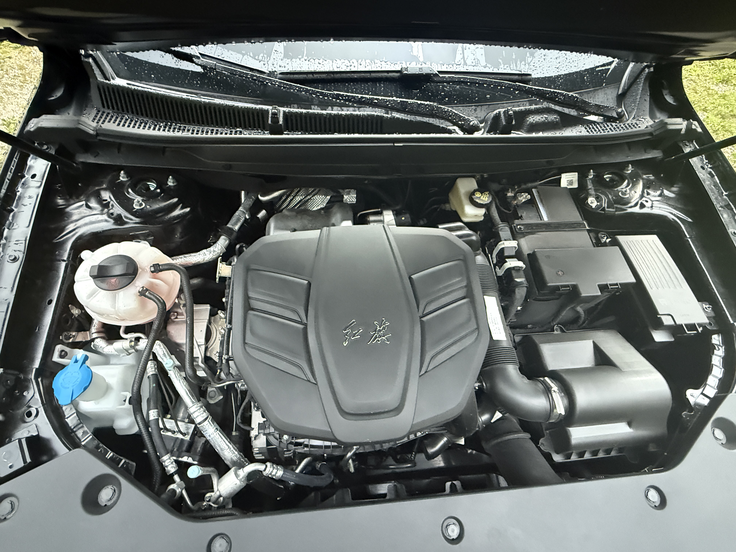 Hongqi HS3 | Foto: Gregor Pavšič