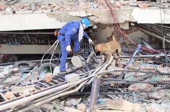 Pet dni po potresu v Mjanmaru izpod ruševin rešili moškega, hunta napadla konvoj s pomočjo