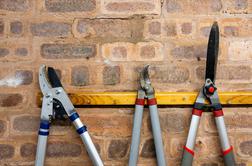 Kakšno orodje je najbolje uporabljati za obrezovanje dreves in urejanje vrta?