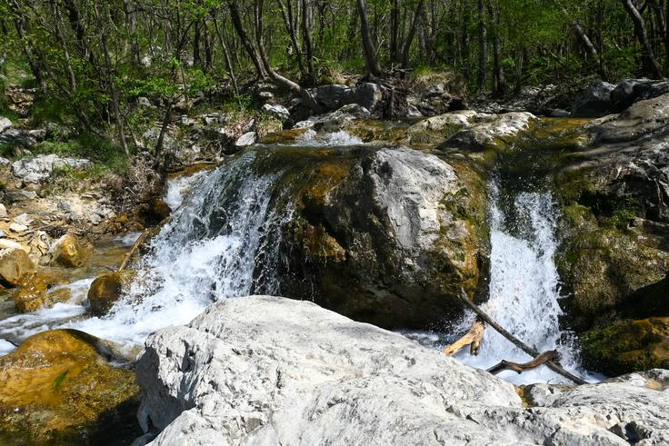 Pred planinskim domom se lahko povsem približamo potoku. | Foto: Matej Podgoršek