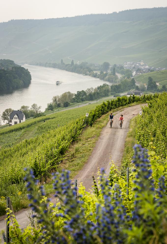 Bernkastel-Kues, kolesarjenje v vinorodnem okolišu Mozele © DZT, Foto: Günter Standl | Foto: 