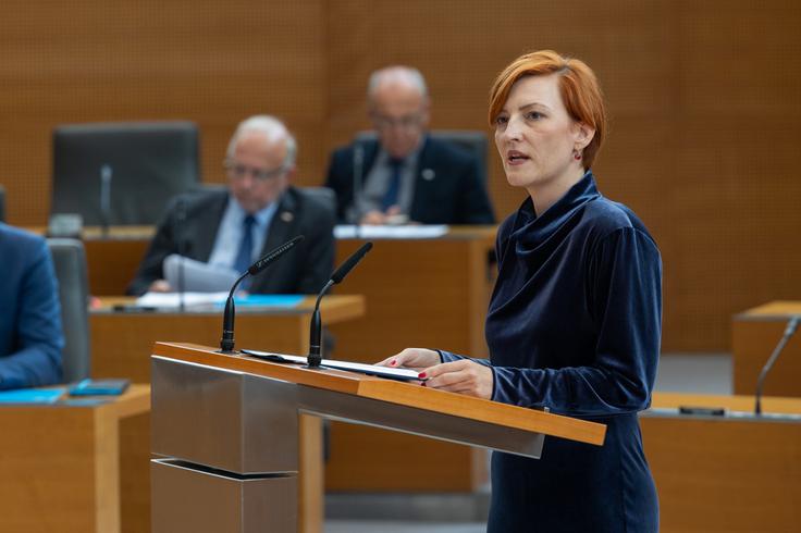 Koalicija je zakonu napovedala podporo, medtem ko opozicija opozarja na nevarnosti in napoveduje možnost referenduma. | Foto: Bor Slana/STA