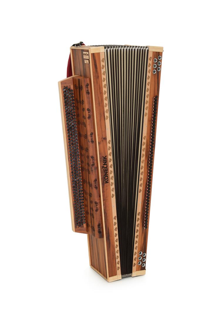 Boštjan Konečnik harmonika | Foto: osebni arhiv Boštjan Konečnik