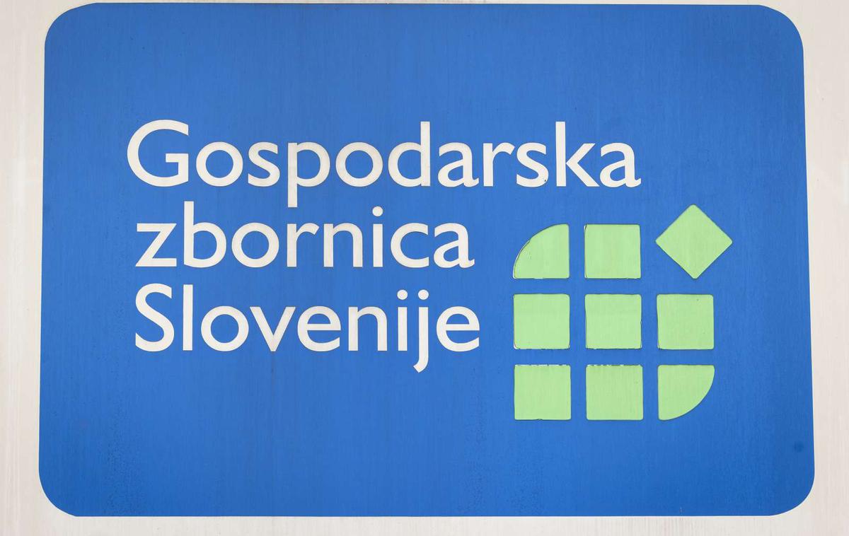 Gospodarska zbornica Slovenije | Na tradicionalnem dogodku, ki ga organizirajo tri regionalne gospodarske zbornice, so gospodarstveniki opozorili tudi na potrebo po logističnih, industrijskih in obrtnih conah. | Foto STA