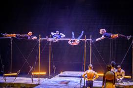 Cirque du Solei Corteo vaja