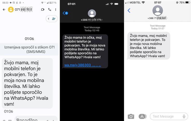 Primeri goljufivih sporočil SMS. Foto: Varni na internetu | Foto: 