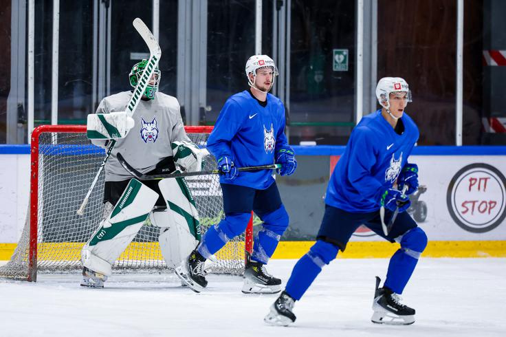 Slovenska hokejska reprezentanca, trening | Foto: Aleš Fevžer