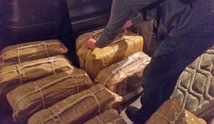 Na ruskem veleposlaništvu odkrili 400 kilogramov kokaina