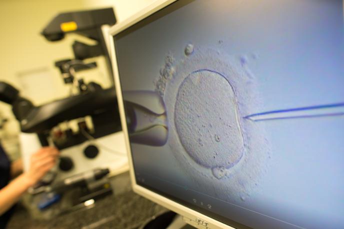 Umetna oploditev | Ustavno sodišče je lani odločilo, da je trenutna ureditev, po kateri lahko do postopkov oploditve z biomedicinsko pomočjo dostopajo samo poročeni moški in ženske, neskladna z ustavo. | Foto Guliverimage