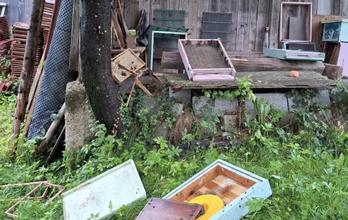 čebelarstvo, panj, čebelji panj | Čebelar z Medvedjega Brda je delil razdejanje, ki ga je na njegovih panjih za seboj pustil medved. | Foto Facebook/Alojz Gantar