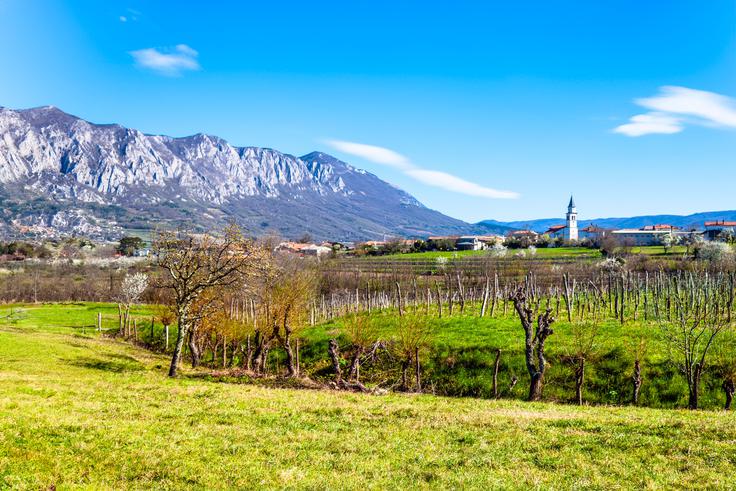 Vipavska dolina | Foto: Shutterstock